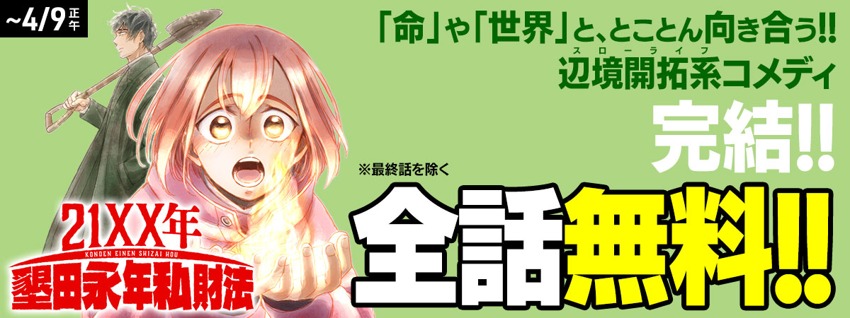 21XX年 墾田永年私財法