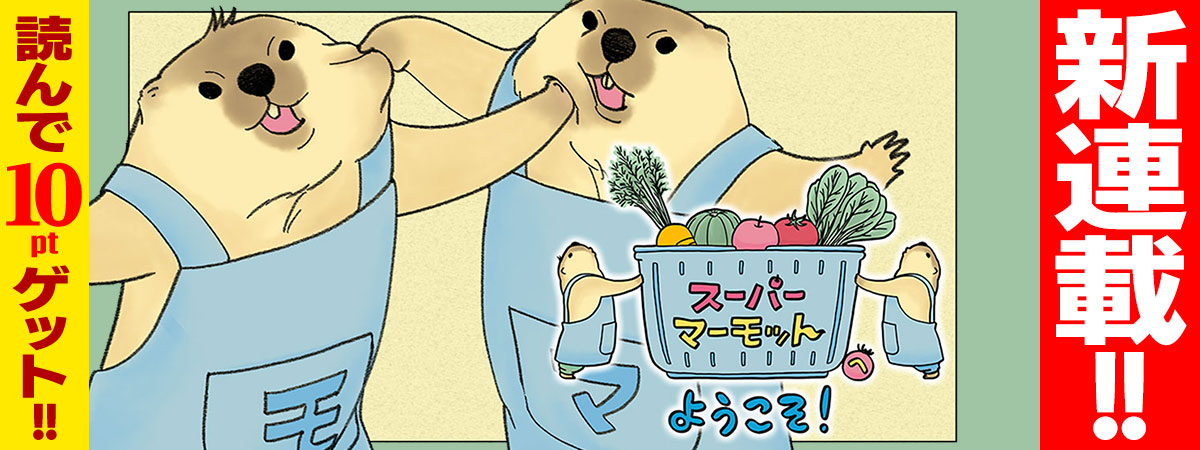 スーパーマーモットへようこそ！