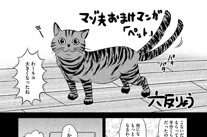 マゾ夫おまけマンガ「ペット」
