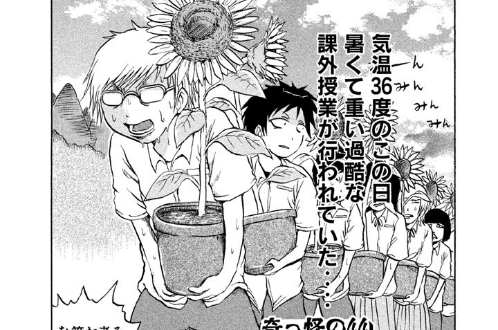 奇っ怪の４４　向日葵の日