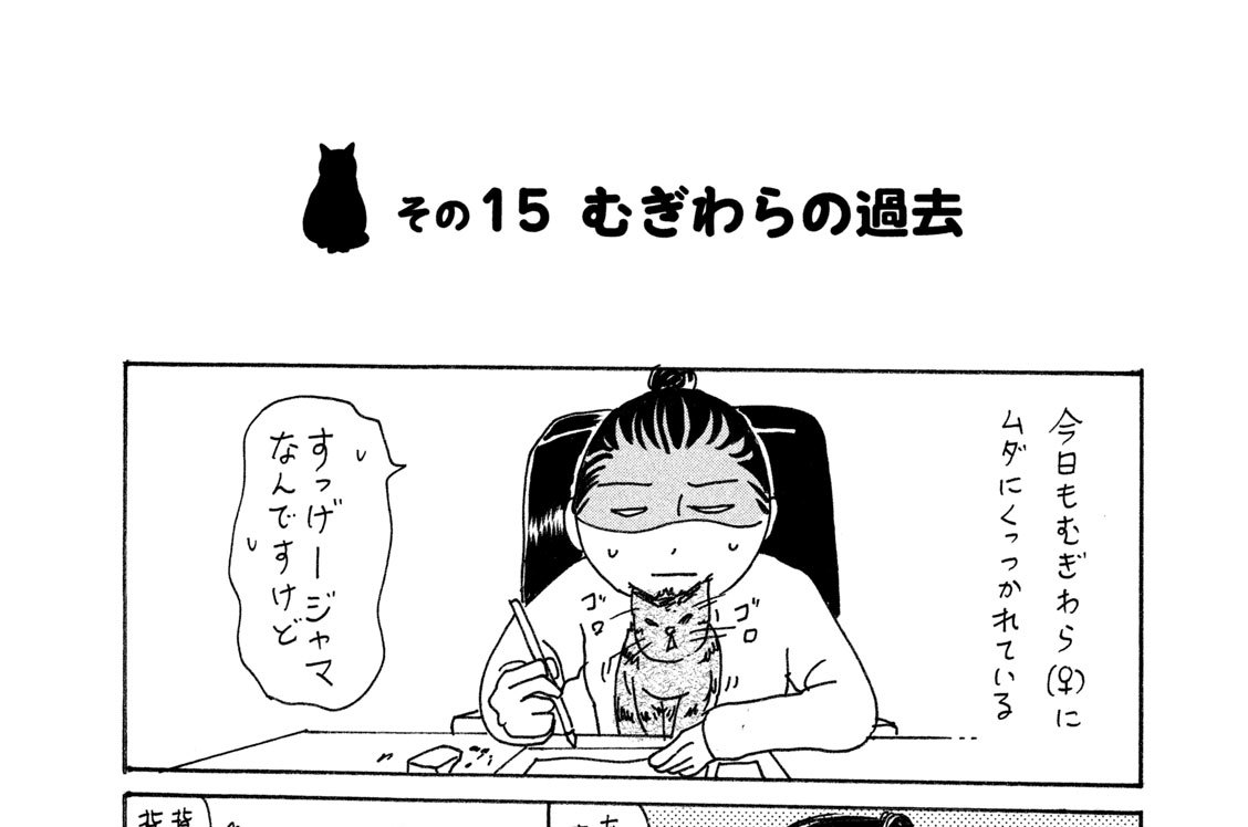 その１５　むぎわらの過去