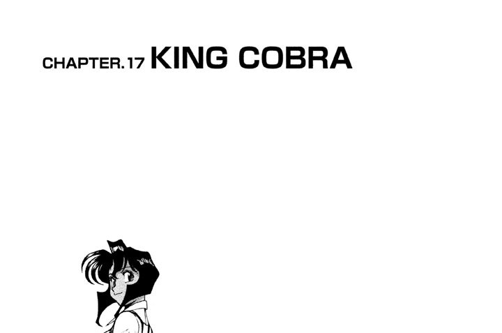 ＣＨＡＰＴＥＲ.１７　ＫＩＮＧ　ＣＯＢＲＡ