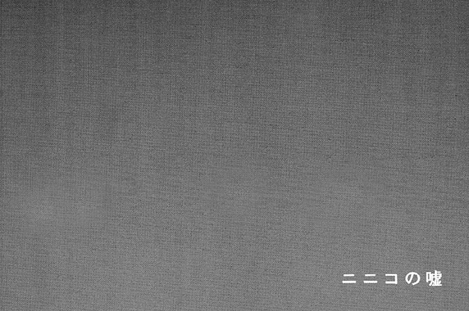 ニニコの嘘