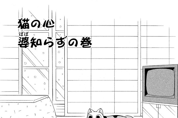 猫の心婆知らずの巻