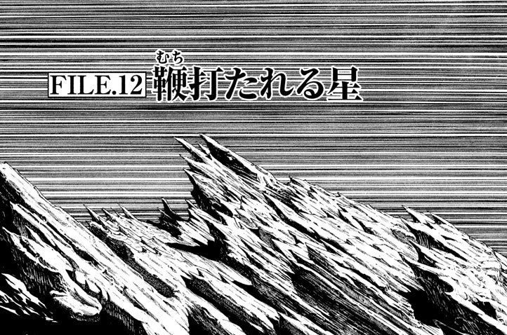 ＦＩＬＥ．１２　鞭（むち）打たれる星