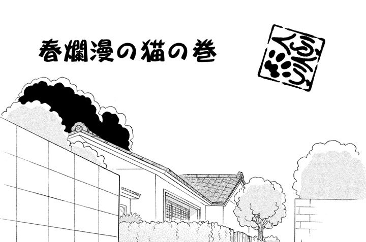 春爛漫の猫の巻