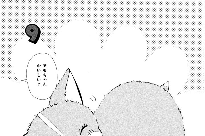 ９　愛しのお義母（かあ）さま！？　