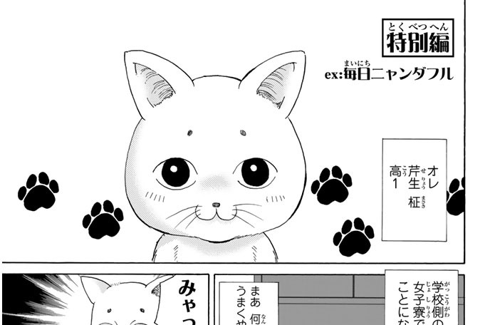 ｅｘ：毎日ニャンダフル