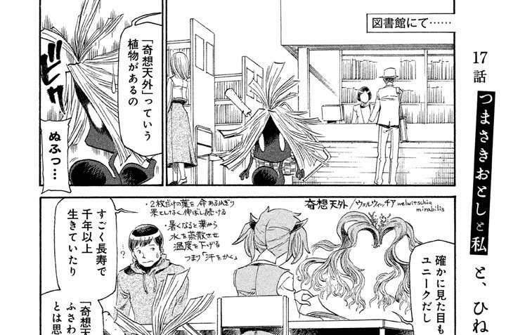 １７話　つまさきおとしと私と、ひねった名前をつけたがる命名者