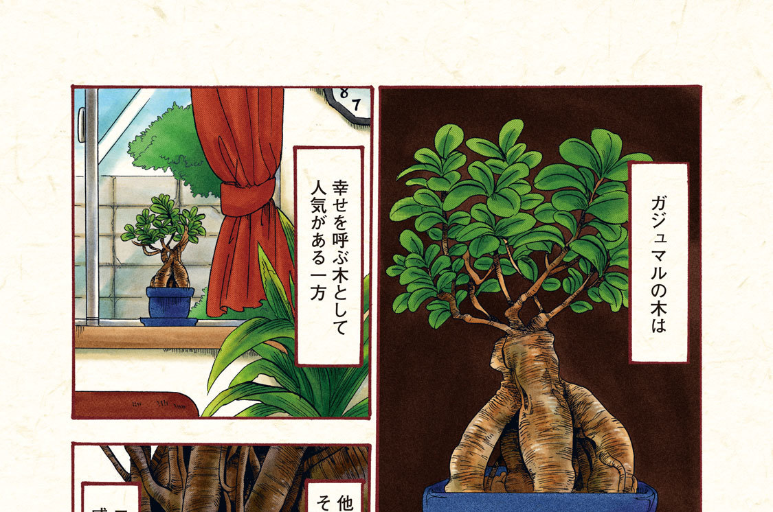 其の四　神聖（しんせい）妖木（ようぼく）