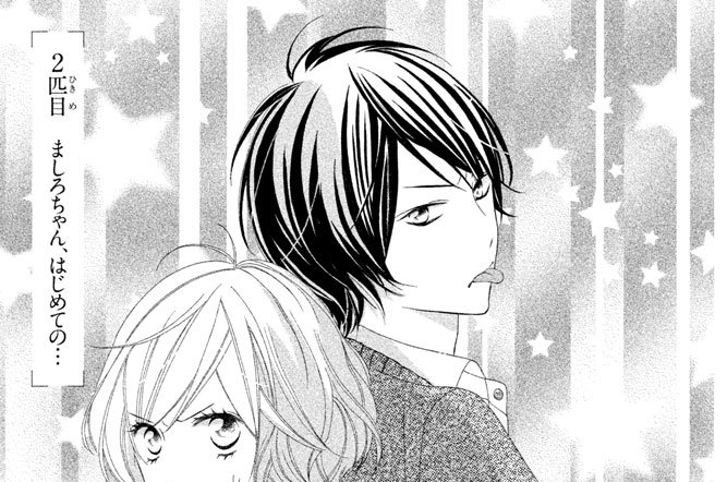 ２匹目　ましろちゃん、はじめての…