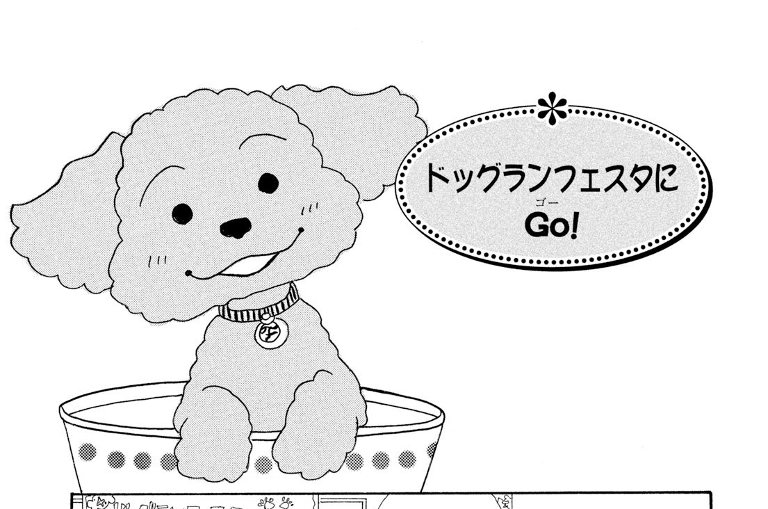 ドッグランフェスタにＧｏ！