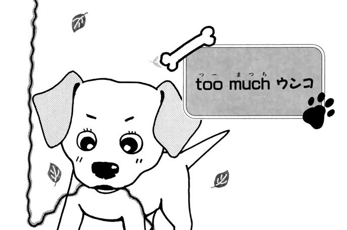 ｔｏｏ　ｍｕｃｈ　ウンコ