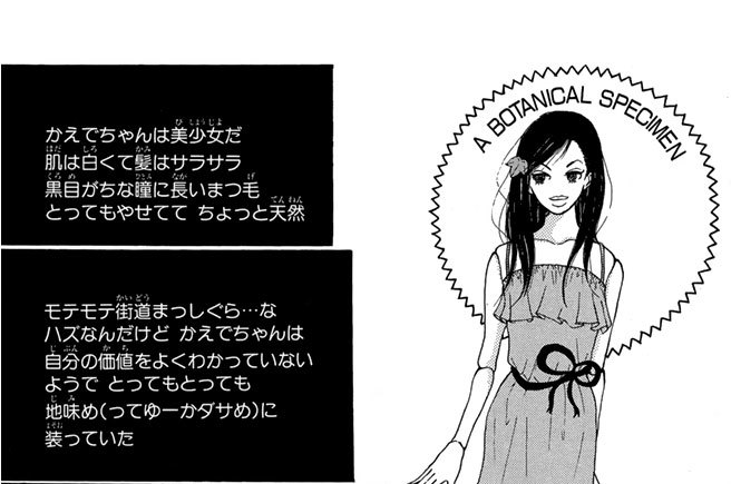 食虫植物カエデちゃん