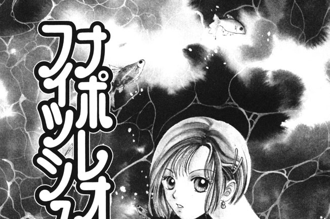 ナポレオンフィッシュの欠伸