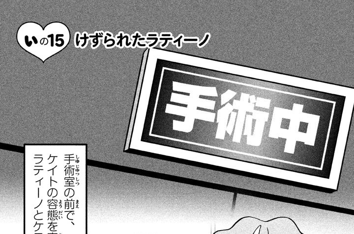 ぃの１５　けずられたラティーノ