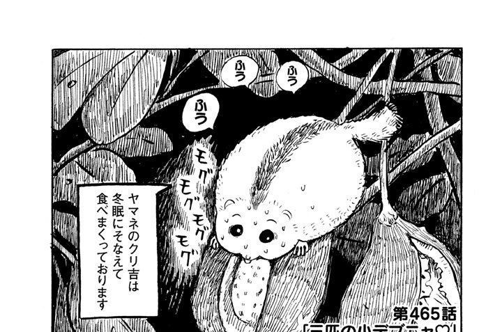 第４６５話　三匹の小デブニャ