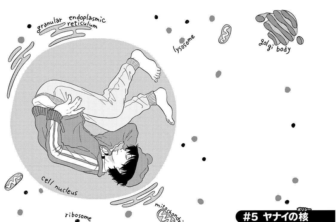 ＃５　ヤナイの核