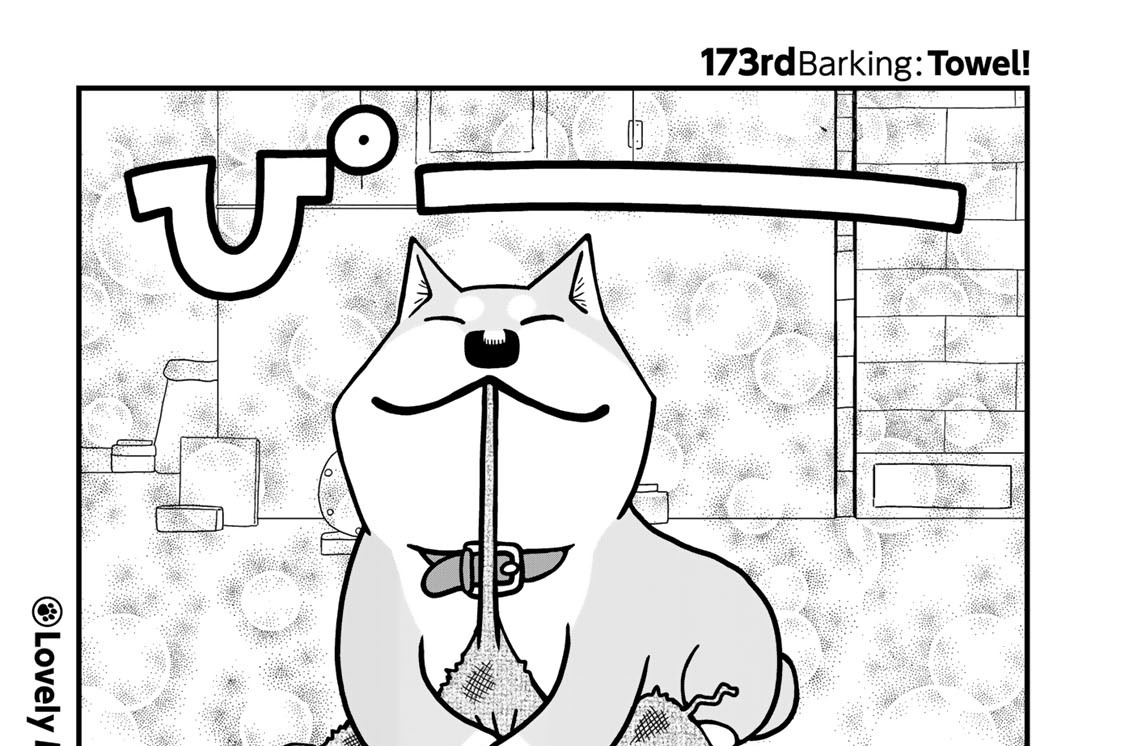 １７３ｒｄＢａｒｋｉｎｇ：Ｔｏｗｅｌ！