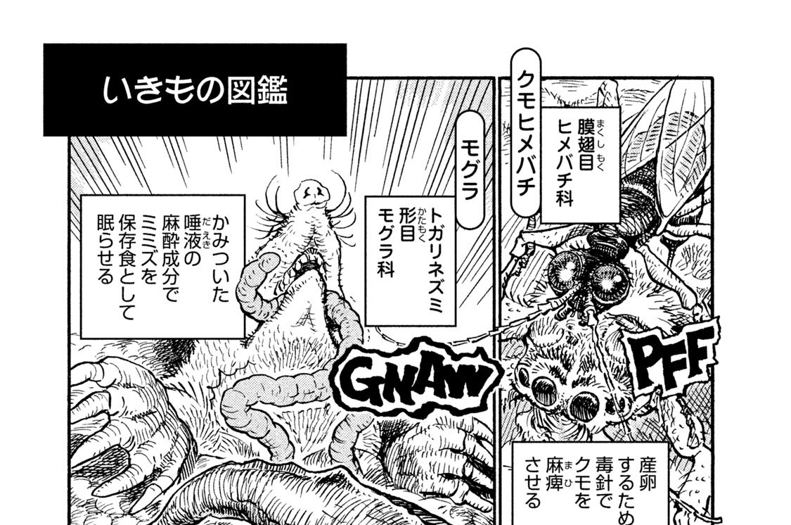 プ～ねこ（１６２）　いきもの図鑑