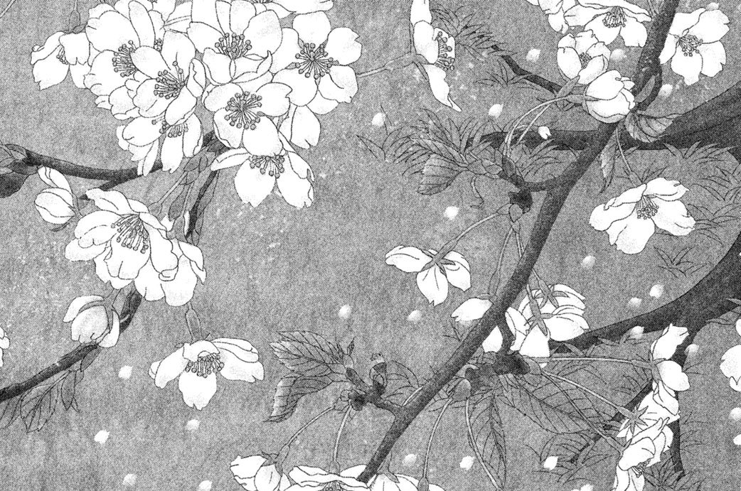 第２４話　龍（りゅう）の鱗（うろこ）（後編）