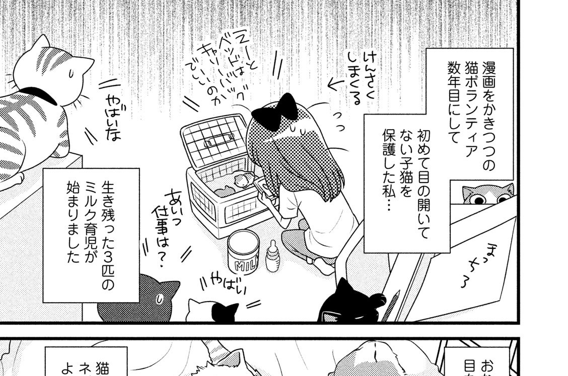 第２話　運命の家族