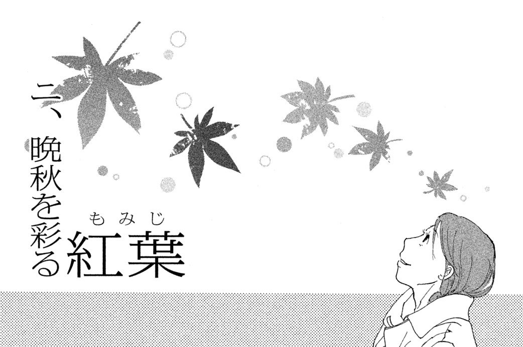 二、晩秋を彩る紅葉