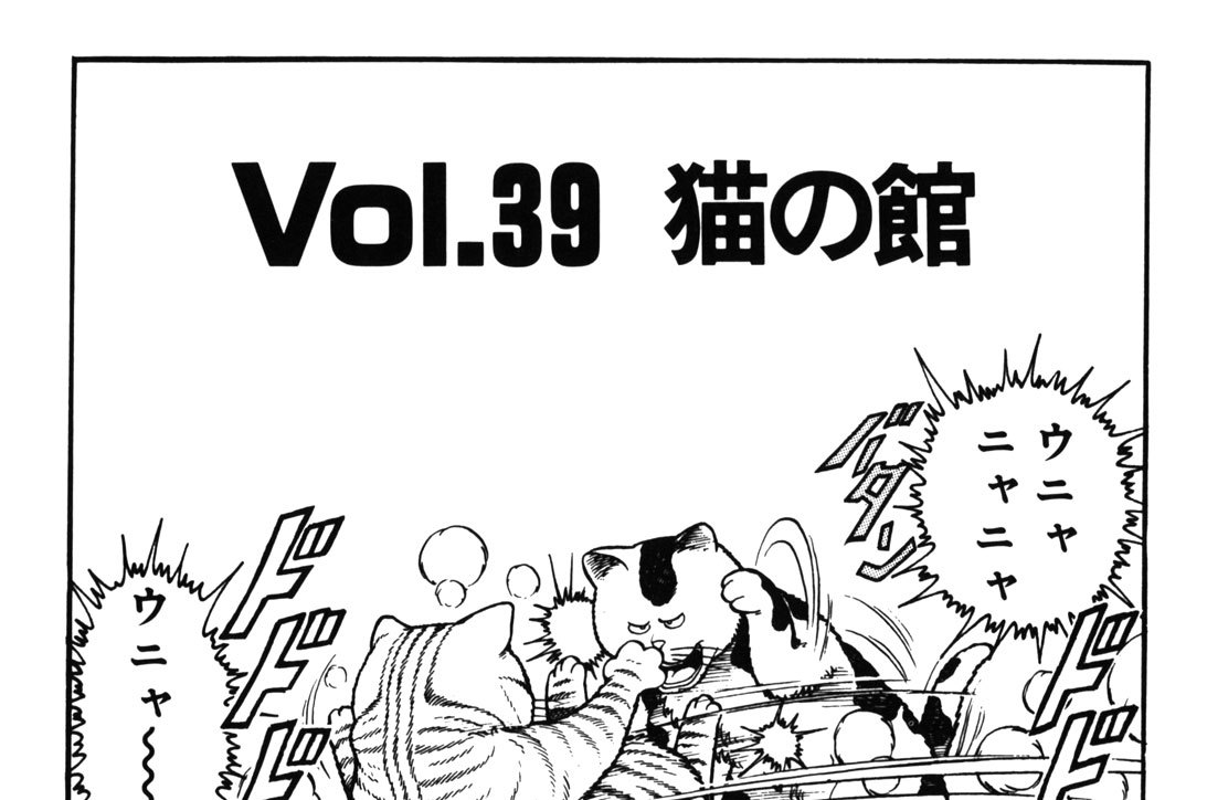 Vol．39　猫の館