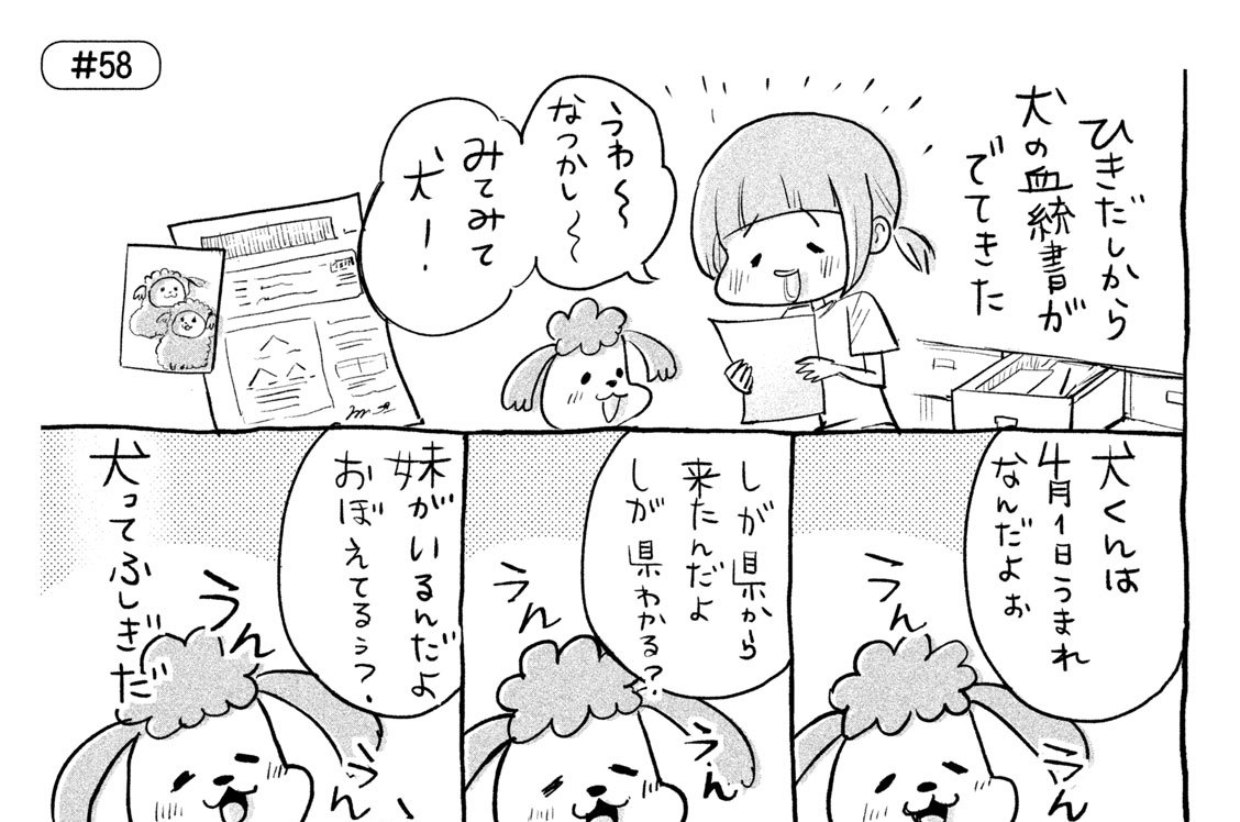 ＃５８　犬と猫どっちも飼ってると　おしゃべりして毎日たのしい