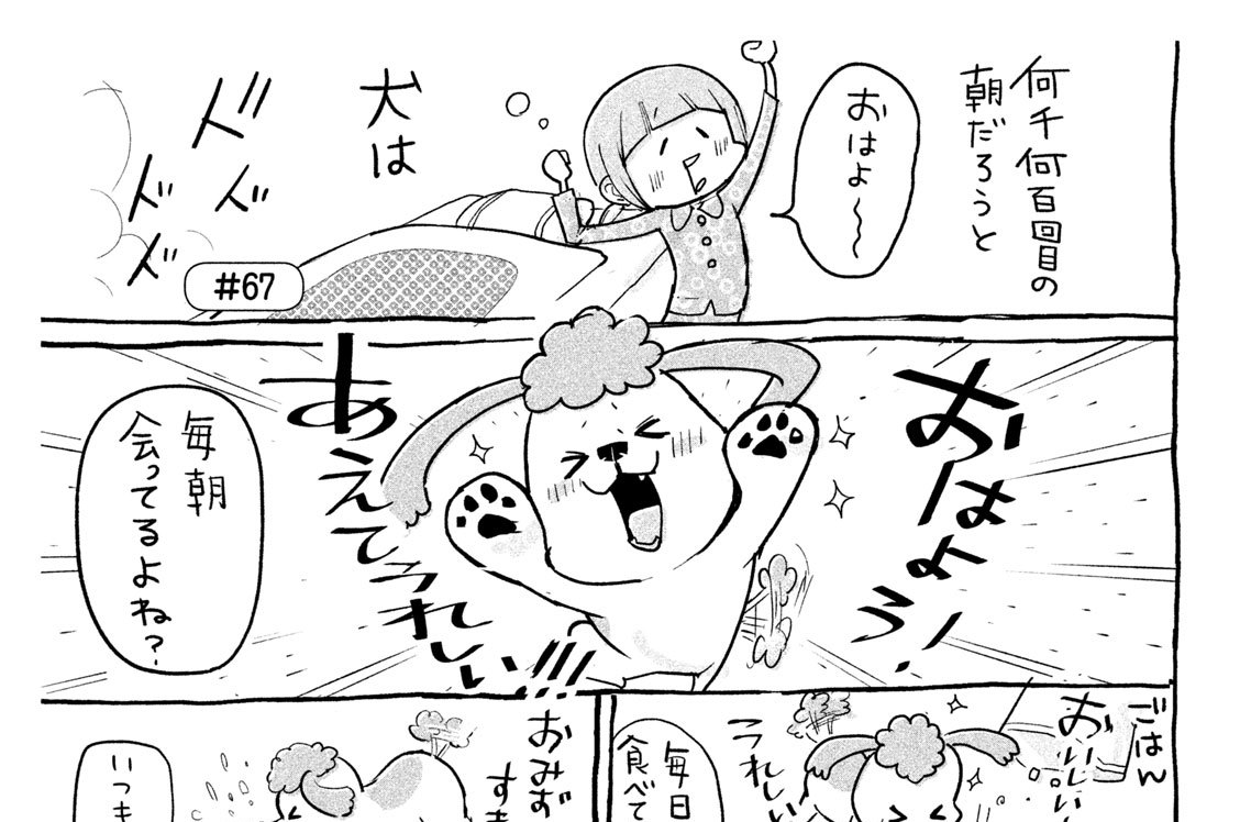 ＃６７　犬と猫どっちも飼ってると、一日のはじまりが真逆すぎて毎日たのしい