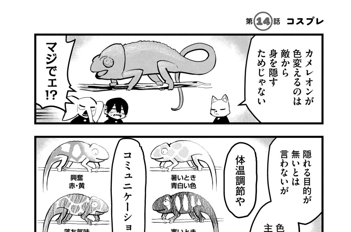 第１４話　コスプレ