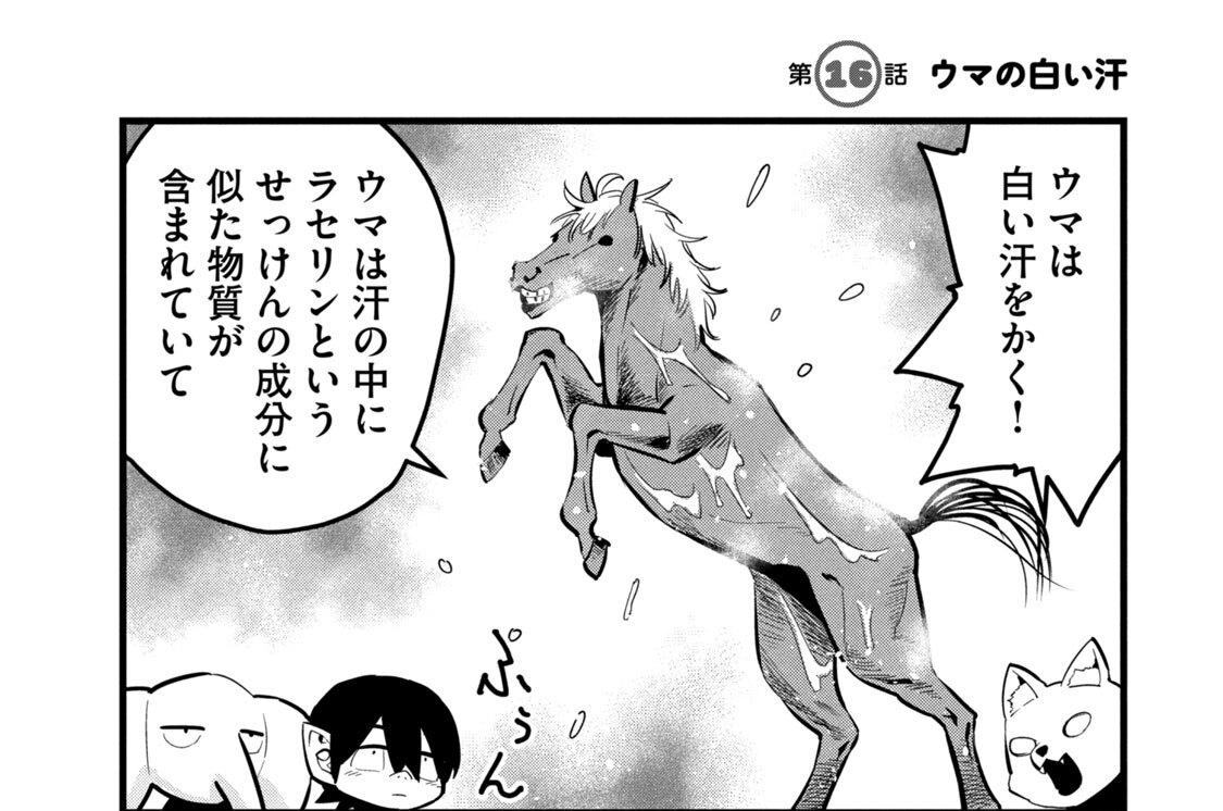 第１６話　ウマの白い汗