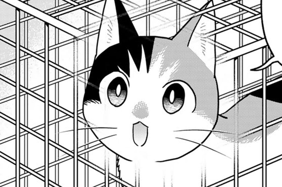 【最終話(1)】マイクロチップ