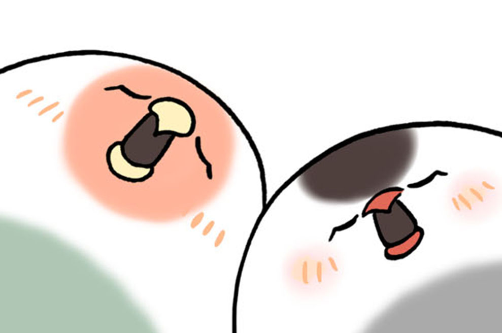 第１６話