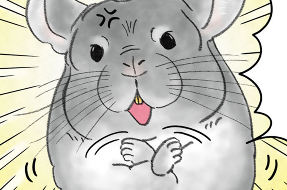 第２１話　チンチラちゃんの主張