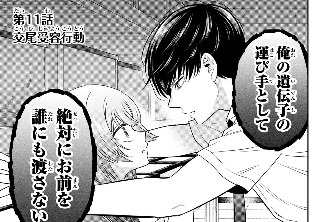 第１１話　交尾受容行動
