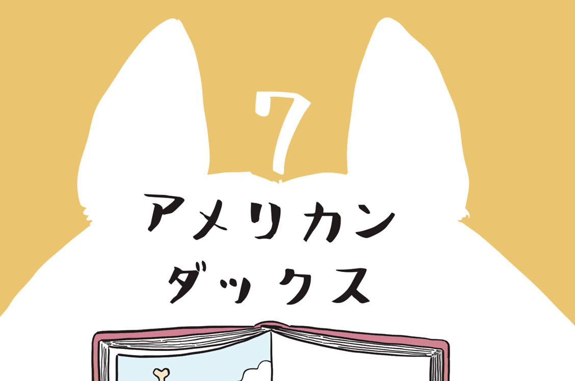 ７　アメリカンダックス