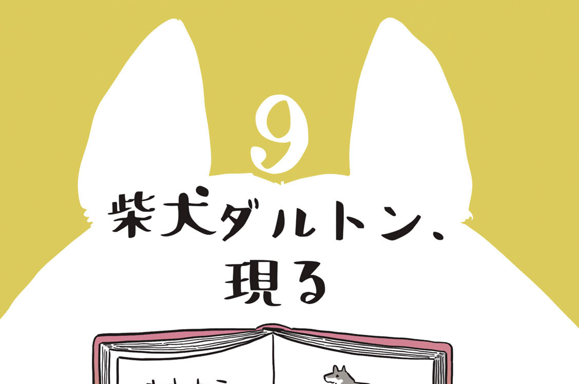 ９　柴犬ダルトン、現る