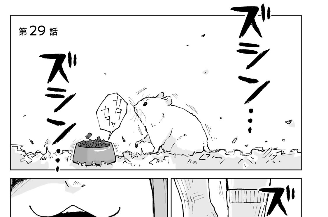 第２９話　ハムカツとお留守番