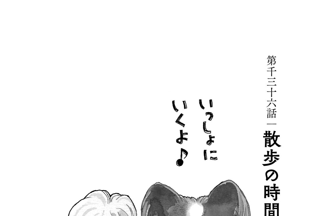 第千三十六話　散歩の時間