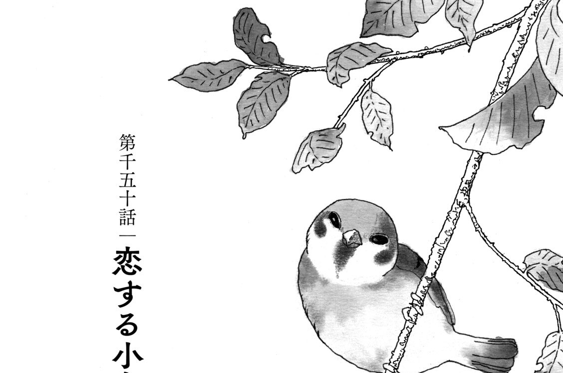 第千五十話　恋する小鳥（２）