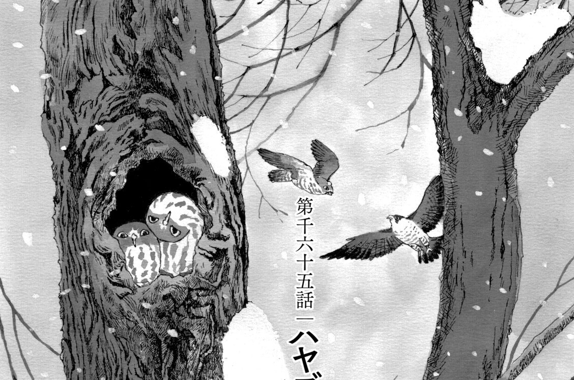 第千六十五話　ハヤブサの息子〈前編〉