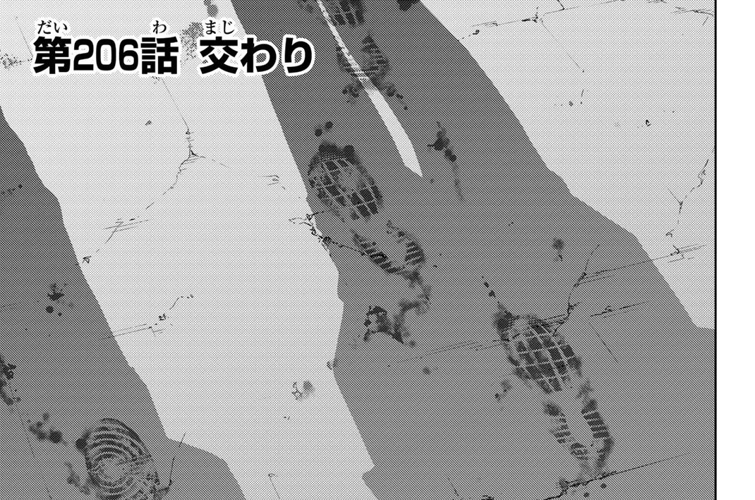 第２０６話　交わり