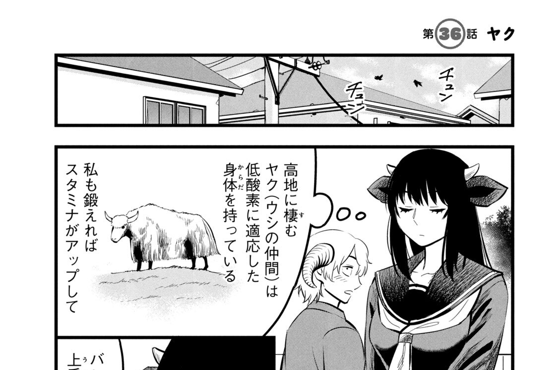 第３６話　ヤク