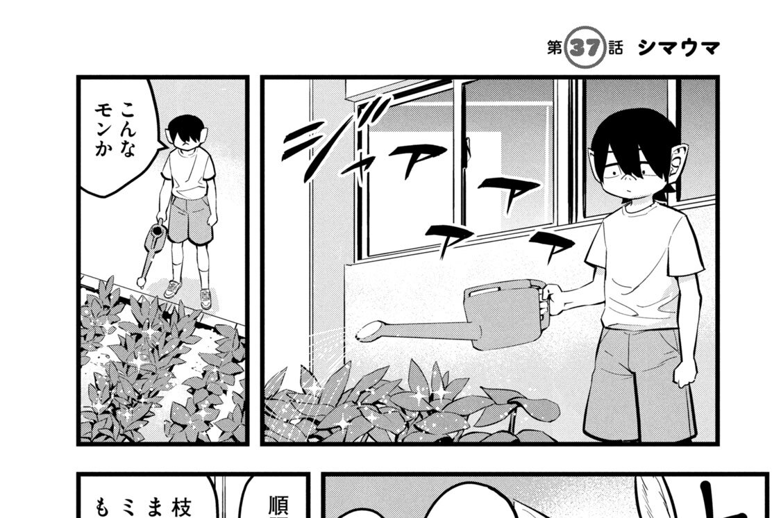 第３７話　シマウマ