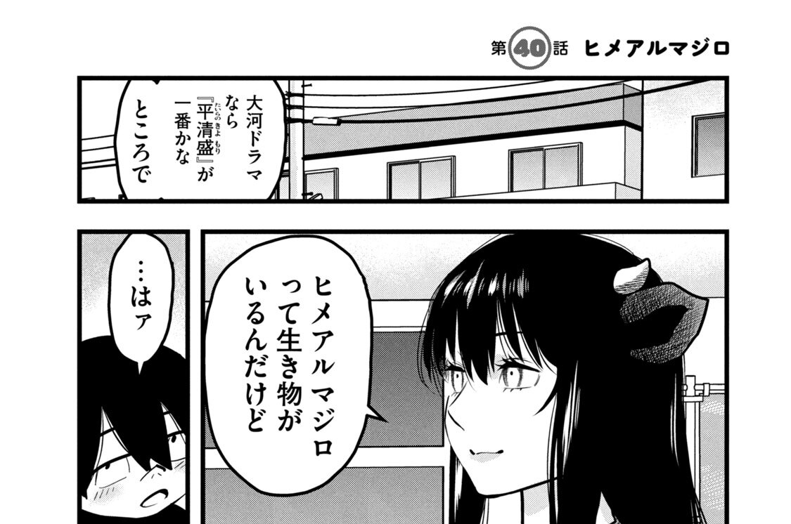第４０話　ヒメアルマジロ