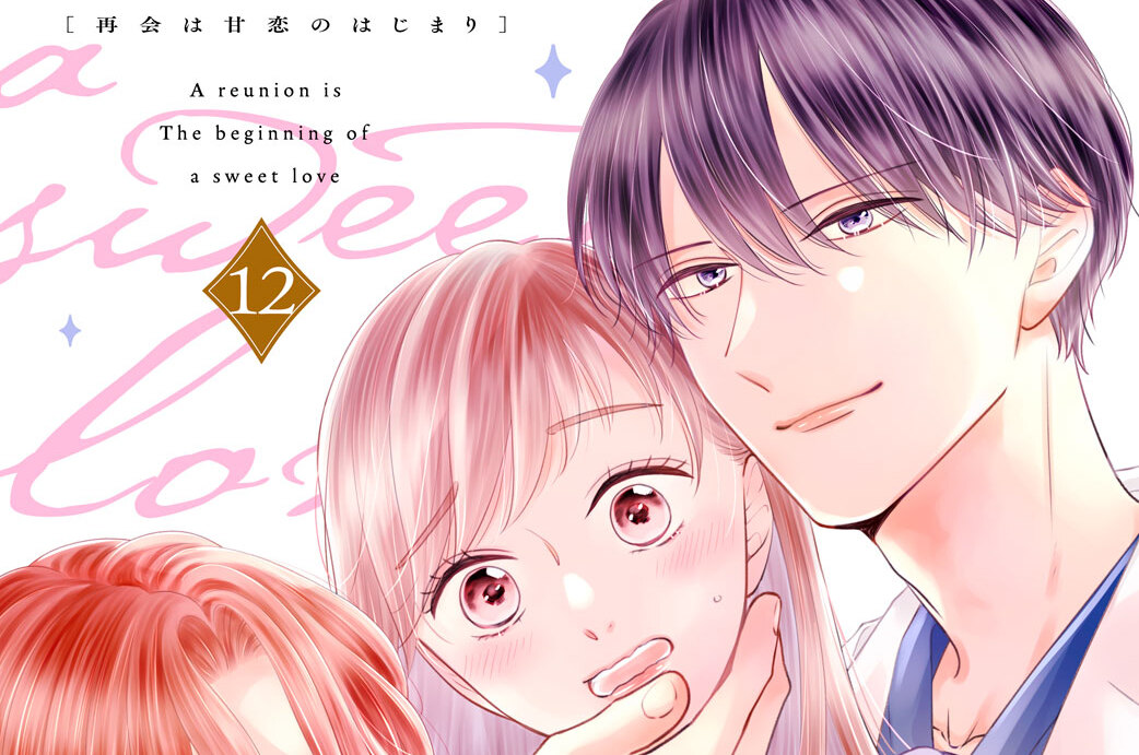 再会は甘恋のはじまり　分冊版（１２）