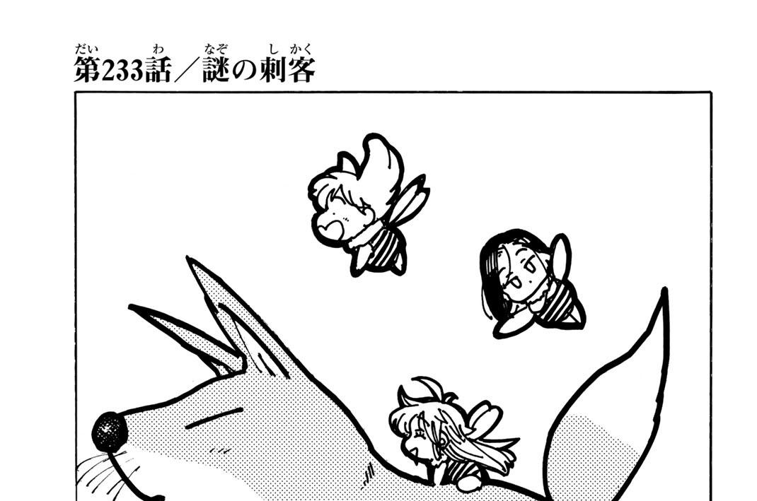 第２３３話　謎の刺客