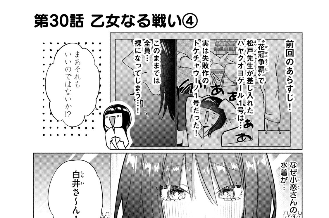 第３０話　乙女なる戦い（４）