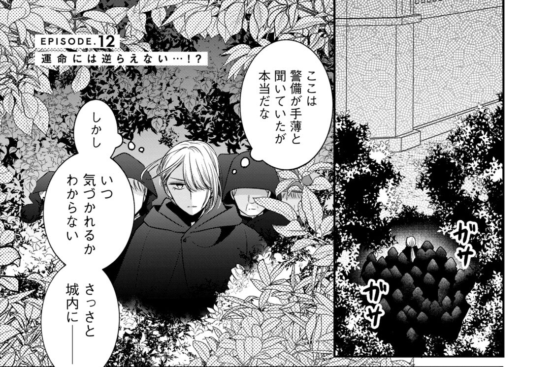 ＥＰＩＳＯＤＥ．１２　運命には逆らえない…！？